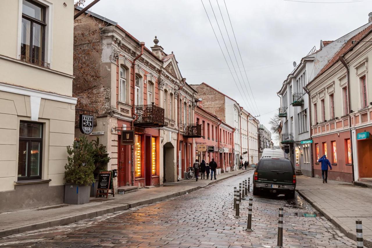 Lovely Apartment Traku Str. Vilna Exterior foto